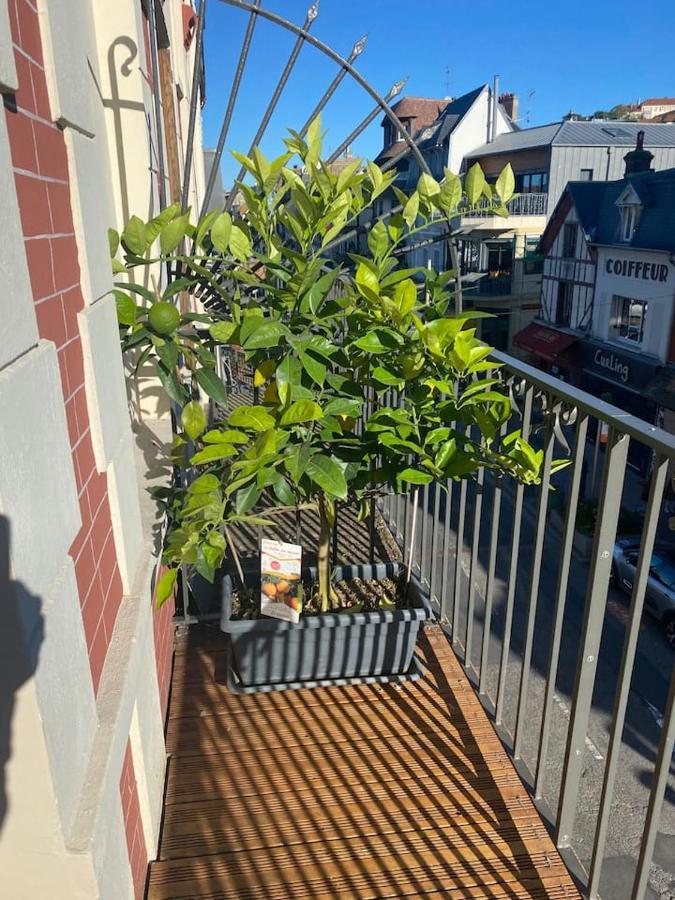 Nid Douillet Sur Apartment *